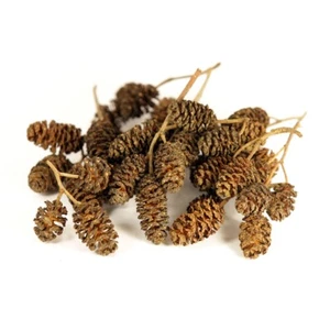 Alder Cones 20 Grams / Approx 70 - 100 cones