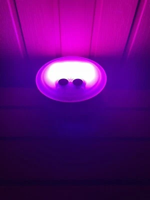 INTEX PURESPA MULTI COLOUR CHANGING LED LIGHT 28503 - Image 1 of 4