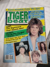 Tiger Beat June 1980 REX SMITH TED NUGENT MICHAEL JACKSON MARK HAMILL