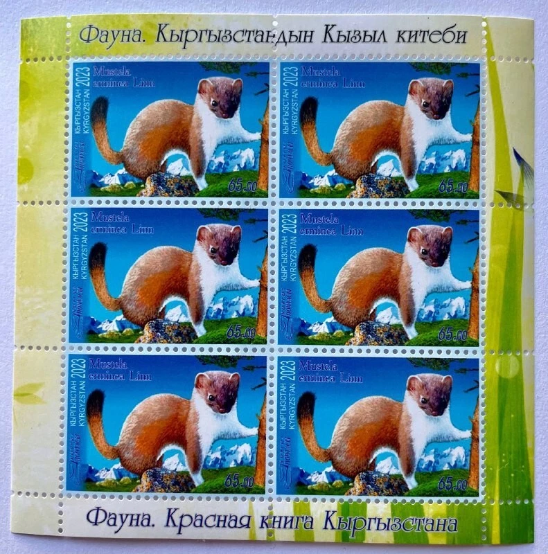 Kyrgyzstan 2023 Fauna. The Red Book of Kyrgyzstan - Image 1 of 1