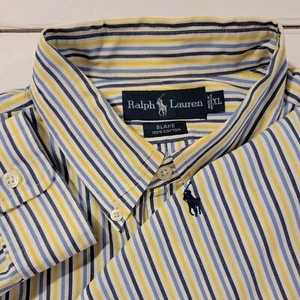 Ralph Lauren Blake Pinstripe Long Sleeve Button Down Shirt Size XL Multicolored - Picture 1 of 4