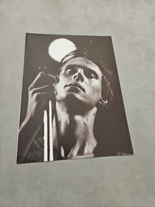 TPEEP373 MAGAZINE PICTURE 11X8" MILES DAVIES - Picture 1 of 1