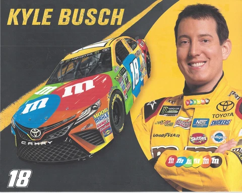 2017 KYLE BUSCH "M&M'S RACING JOE GIBBS" #18 MONSTER ENERGY NASCAR CUP POSTCARD Cover