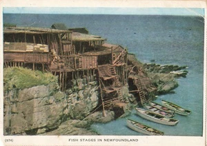 CA St Johns Terranova Canada-Pouch Cove-Fish Stages-Vintage1956 Cartolina (B9) - Foto 1 di 3