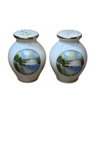 Niagarafälle Salz und Pfefferstreuer Souvenir Made In Germany - Bild 1 von 4