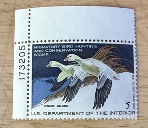 RW44 Federal Duck Hunting Stamps MNH, OG, 1977  Corner Margin With Plate Number - Picture 1 of 2