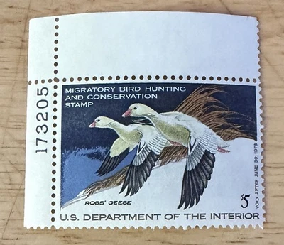 RW44 Federal Duck Hunting Stamps MNH, OG, 1977  Corner Margin With Plate Number - Image 1 of 2
