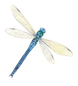 Libelle Libellen blau überglasiert Wasserrutsche Keramik Aufkleber - Bild 1 von 4