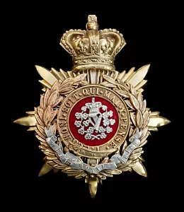 Placa de casco de oficial de tela azul The Royal Irish - Imagen 1 de 1