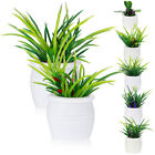 7 Miniatur-Bonsai-Pflanzen für Puppenhaus-Deko, Maßstab 1:12