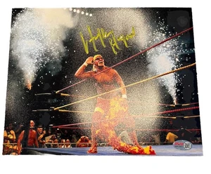 Hulk Hogan handsigniertes Foto 11x14 PIA verschmiert - Bild 1 von 2