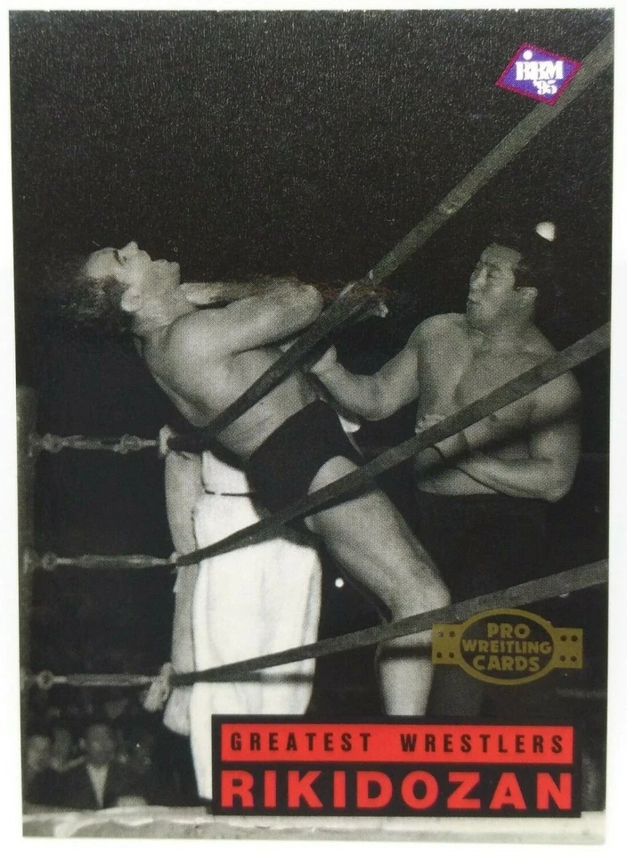 RIKIDOZAN Pro-Wrestling Cards BBM 1995 NO.210 Very rare Japan Japanese - Image 1 of 4