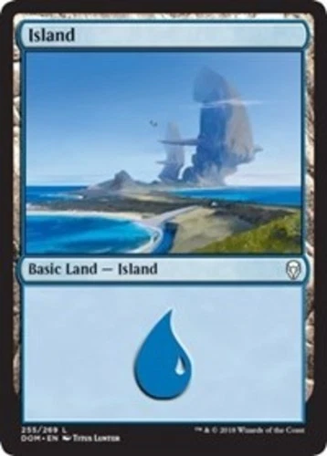 Island (255) - Dominaria - English - NM - MTG - Image 1 of 1