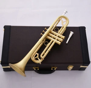 Professional Matt Brushed Bb Trumpet Horn Monel 2-Mouthpiece Leather Case - Picture 1 of 9