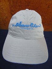 Legacy Gray Baseball Cap Hat - Delaware STATE HORNETS NCAA - StrapBack One Size