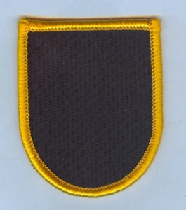 Ejército JROTC Flash - FAYETTE COUNTY HIGH SCHOOL (FAYETTEVILLE, GEORGIA) - Imagen 1 de 1