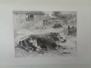 1864 SCRAPS OF NATURE ETCHED BY ROBERT BRANDARD 34 B/W PLATES ART ETCHING ^ - Picture 1 of 14