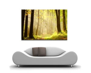 LARGE VIBRANT CANVAS WALL ART SUMMER FOREST GREEN SUN SHINE WOODS PICTURE PRINT - Picture 1 of 2