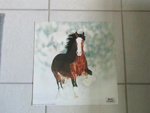 1983 Bud Light Beer Clydesdale Poster single Horse 17 5/8" x 17'' nice to frame - Picture 1 of 2