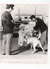 Bomb Sniffing Dog At Airport Rome Italy 1972 Press Photo