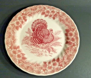 Queen's Myott Factory Archive Pink Thanksgiving Dinner Plate 10" wide - Picture 1 of 8