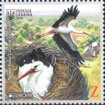 Selos pássaros cegonha Europa Ucrânia natureza nacional fauna vida selvagem ninho branco 2019 - Imagem 1 de 2