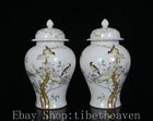 9.2" Qianlong Marked Old China Pastel Porcelain Palace Flower Bird Tank Jar Pair