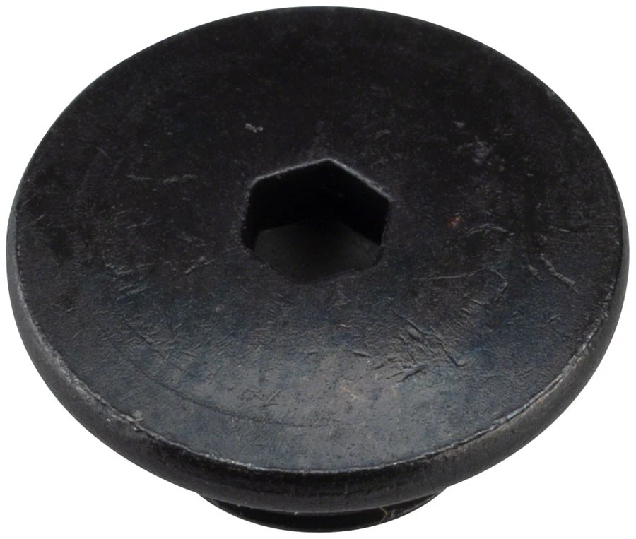 Shimano 105 St-r7020 Bleed Screw & O-ring Y0F398030