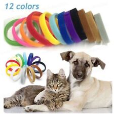 Supplies Dog Supplies Adjustable Pet Belt Dog Cat Pet Rope Puppy Nylon Harness