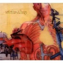 (Untitled) von Wintersleep | CD | Zustand gut - Image 1 of 2