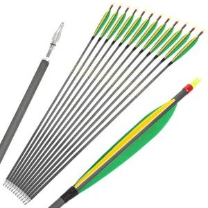 30" Pure Carbon Arrows SP500 SP600 Archery 6'' Feather Recurve Bow Tips Hunting - Picture 1 of 30