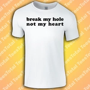 Break My Hole Not My Heart T-Shirt | Gay | LGBTQ | Funny | Queer - Picture 1 of 10