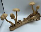 Wooden Log Mushroom Sculpture Forest Fungus Art 17” Wood Carving Unique 