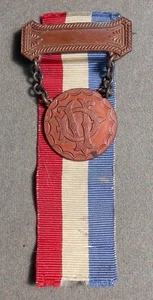 Daughters Of Veterans: DV (On Drop From Pin Bar, RWB Ribbon Behind). Bronze, 3 ½ - Picture 1 of 2