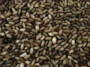 Cats Eye Beads 150pc Brown/Tan Rice Jewelry Oval Jewellery Craft  - Picture 1 of 2