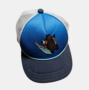 Patagonia Youth Interstate Mesh Trucker Snapback Hat Logo Bear Surf Outdoor - Picture 1 of 8