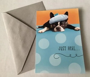 NEW Hallmark Get Well “Just Heal, Fur Real” Greeting Card & Envelope - Picture 1 of 4