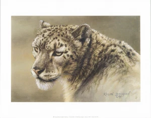 Lion Serenity por Kalon Baughon Wildlife A Bruce McGaw Publicación 11x14 pulgadas - Imagen 1 de 1