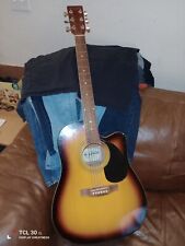 New York Pro Accustic Guitar  for sale