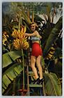 Postcard St. Petersburg Florida Turner's Sunken Gardens Beautiful Girl Bananas