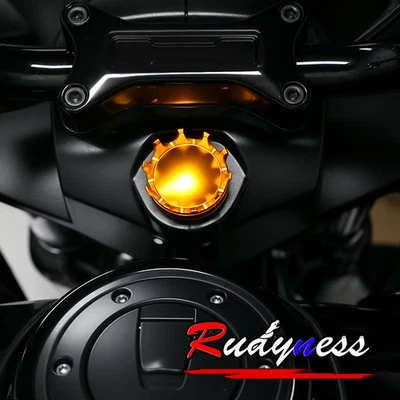 Gold Fork Lock Crown shaped Cover For Harley Touring 23-26 Road Glide FLTRHSE Foto 1 de 4