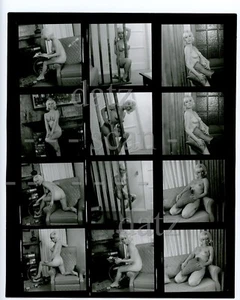 Hoja de fotos de contacto de pájaro de la década de 1960-desnudo pinup chica Betty Bursell-pastel de queso v500023 - Imagen 1 de 2