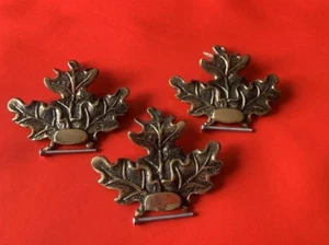 3x Abdeckung für Keilerwaffen Abdeckblatt Eichenblatt Gravurfläche Neu! - Bild 1 von 7