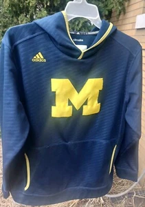 Adidas Michigan Wolverines Climalite Hoodie Pullover Sweatshirt Men’s Size LG - Picture 1 of 4