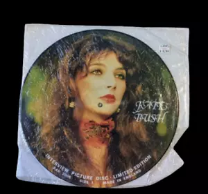 KATE BUSH Vinyl Records LP Interview UK Picture Disk Vintage Rare - Picture 1 of 3