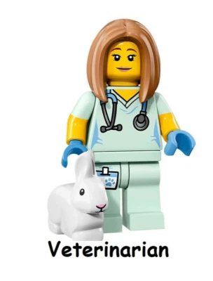 LEGO Series 17 71018 Collectible Minifigure Veterinarian #5 Animal Vet SEALED Foto 1 de 2
