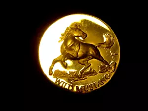 U.S. WILD MUSTANG. Medaille 24 Karat vergoldet auf schwerer Sterlingsilber - Bild 1 von 2