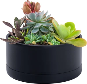 8 Inch Plastic Shallow Planter Large round Succulent Plant Pot Black 76-Z-B-1 - Picture 1 of 6