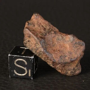Iron Meteorite Type IIAB, Agoudal (Imilchil) Atlas Morocco of 15 g - Picture 1 of 10