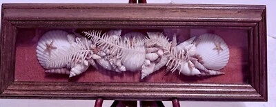 Marco de fotos Ocean Shell decoración caja de sombra horizontal 5 pulgadas X 14 pulgadas POR RAINTREE Foto 1 de 4